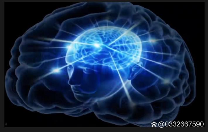 亚星房车使用体验与常见误区对比：新手vs老手的实战指南